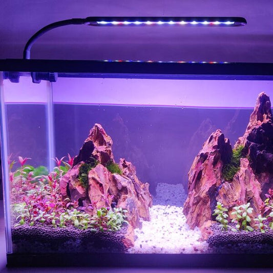 Clip-on Aquarium Light